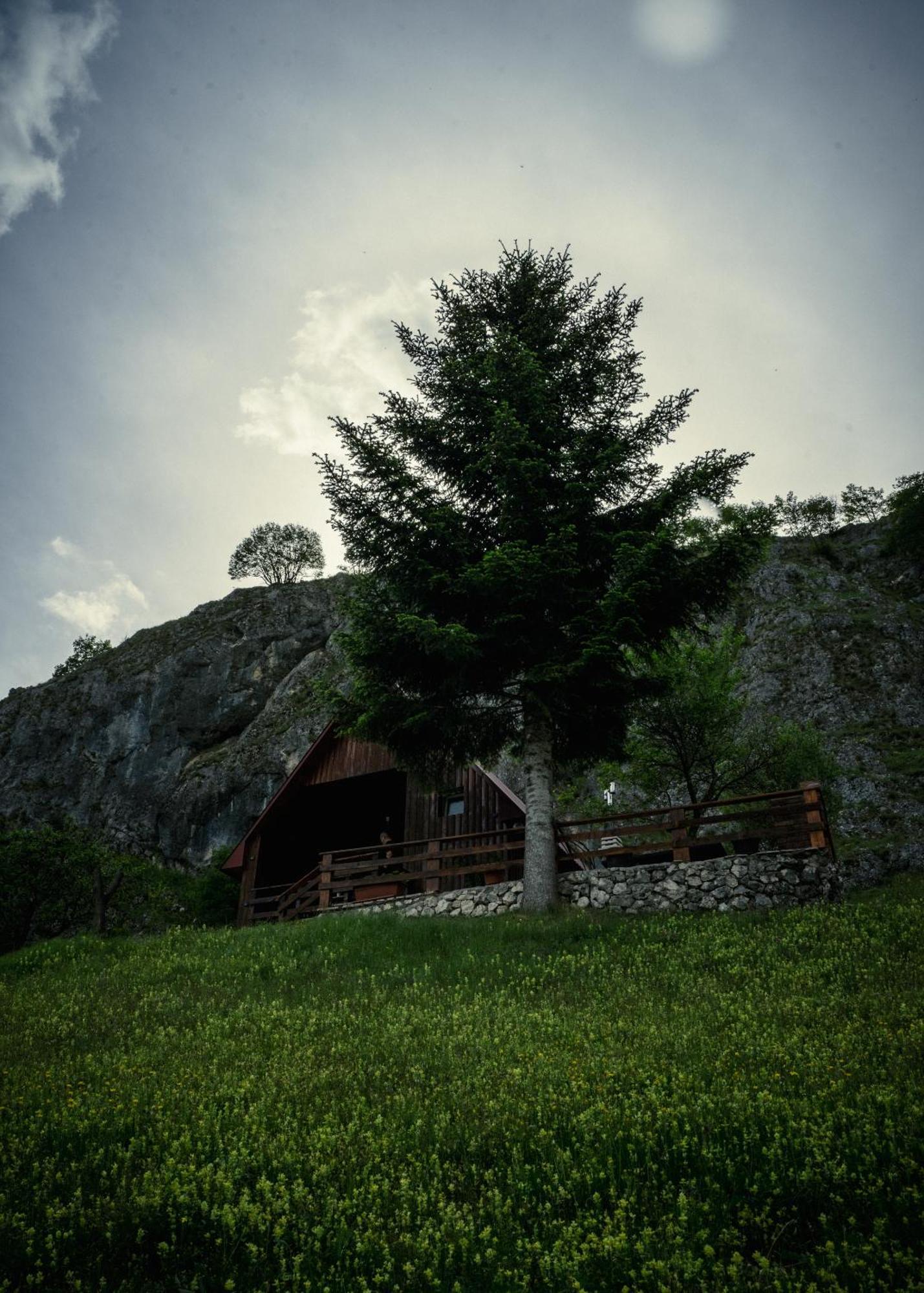 Hotel Detached House Milivoje Poscenje Exterior foto